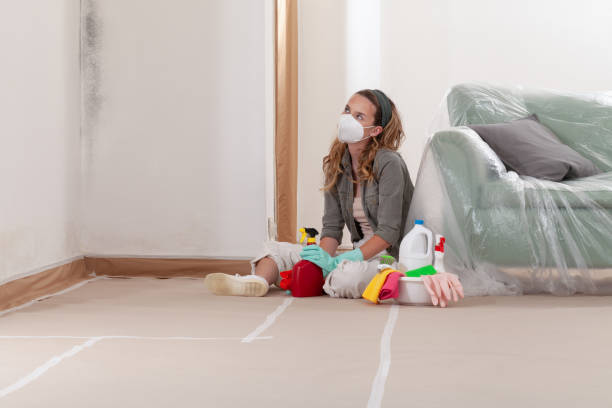 Reliable Mold Cleanup contractor in Monmouth Beach, NJ by Cheap Mold Removal